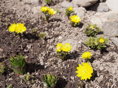 b0147224_2051813.jpg