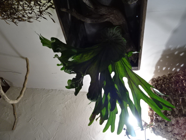 水曜日クラスの持ち物_c0102228_14432719.jpg