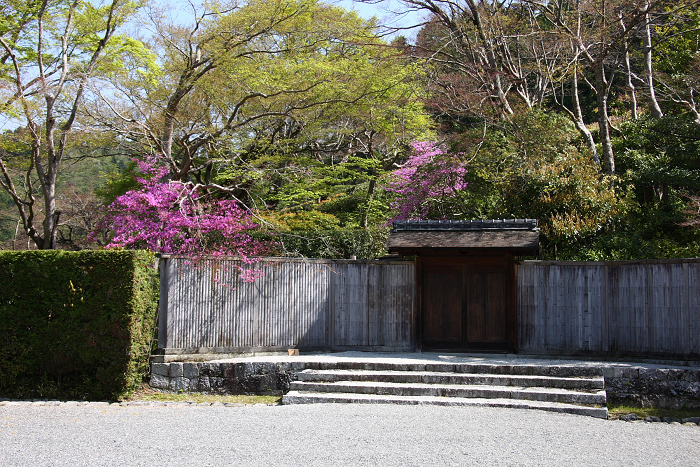 修学院離宮（前編）_b0169330_15335919.jpg