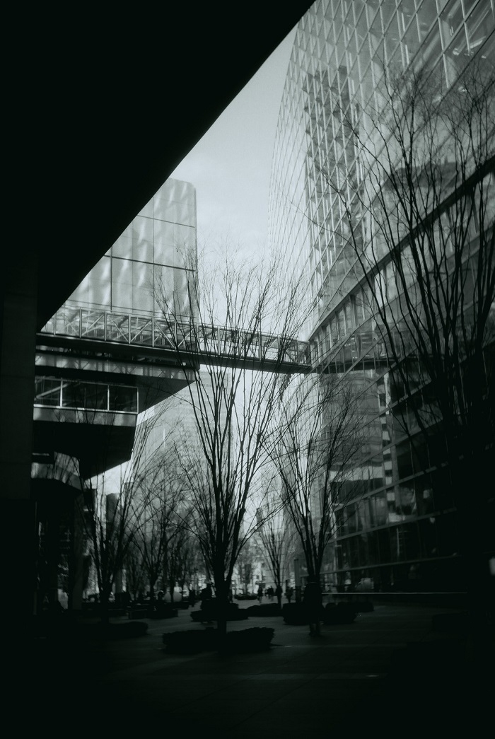 ✿東京お写んぽ その2_b0330432_00574556.jpg
