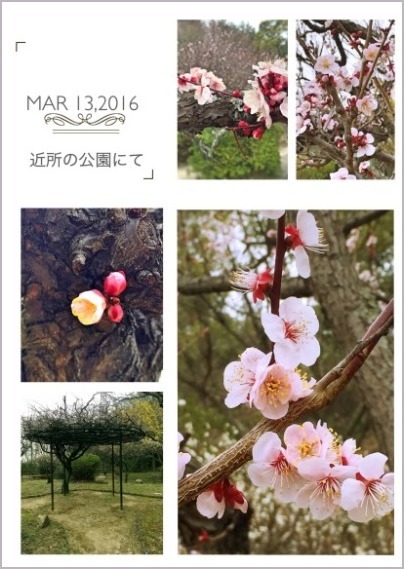 d0017632_23414979.jpeg