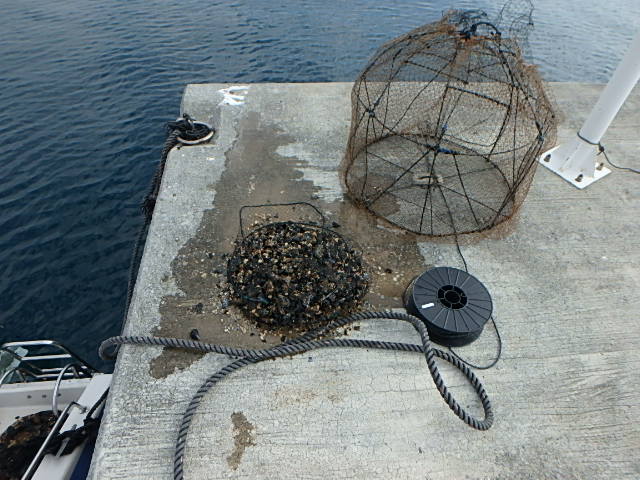c0183137_2024041.jpg