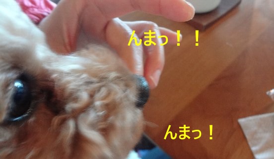 b0149340_14273369.jpg