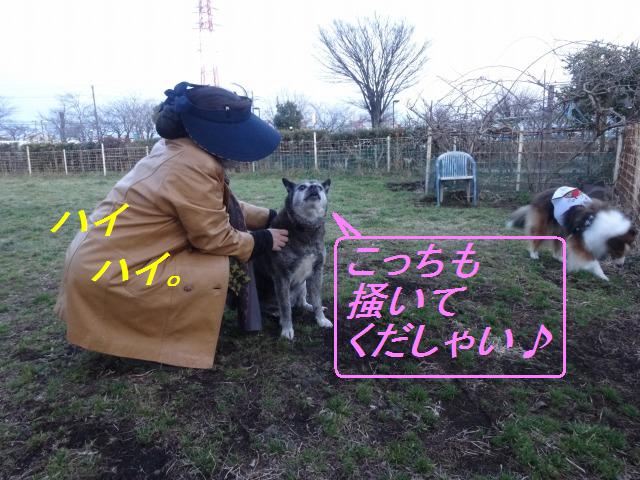 1月2月のダイジェスト_e0195743_14173623.jpg