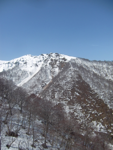 f0329849_10491683.jpg