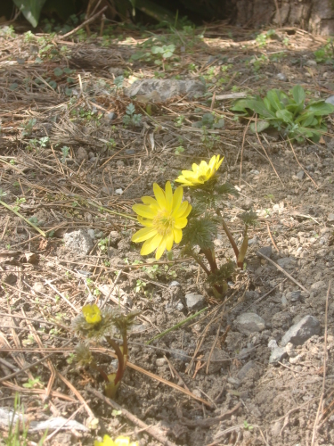 f0329849_10500030.jpg