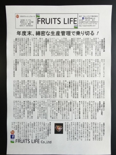 月刊 Fruits Life No.42_a0347953_11354433.jpeg