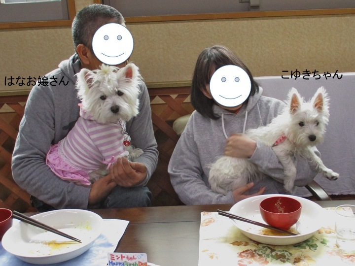 ミントちゃん２歳のお誕生会_c0260460_20312632.jpg