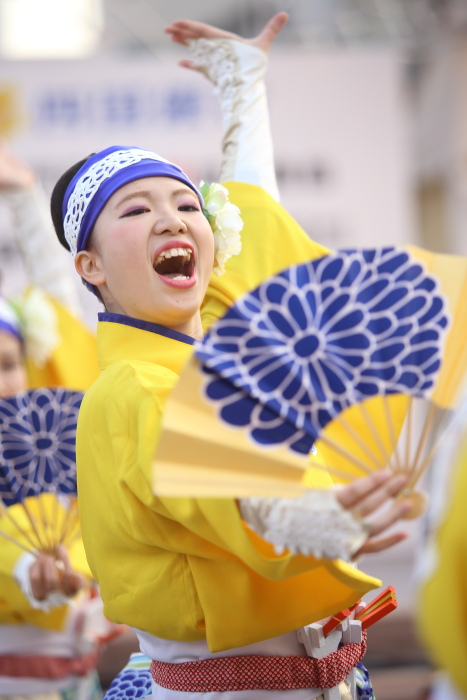 土佐のおきゃく「よさこい春の舞」2016 ほにや その2_a0077663_8283846.jpg