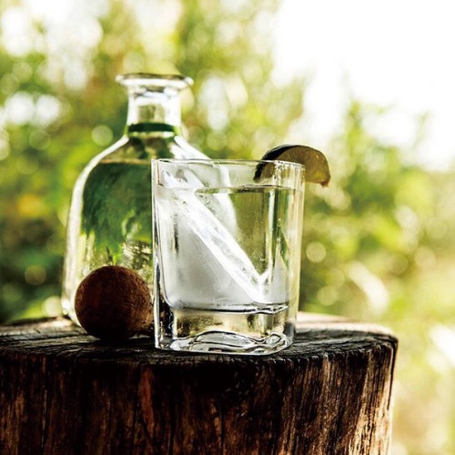 五感でお酒を楽しむ、新しい形。 「CORKCICLE. WHISKEY WEDGE」♪_b0125570_1085511.jpg