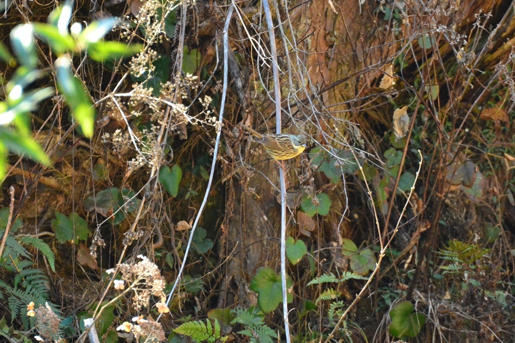 b0311071_21532804.jpg