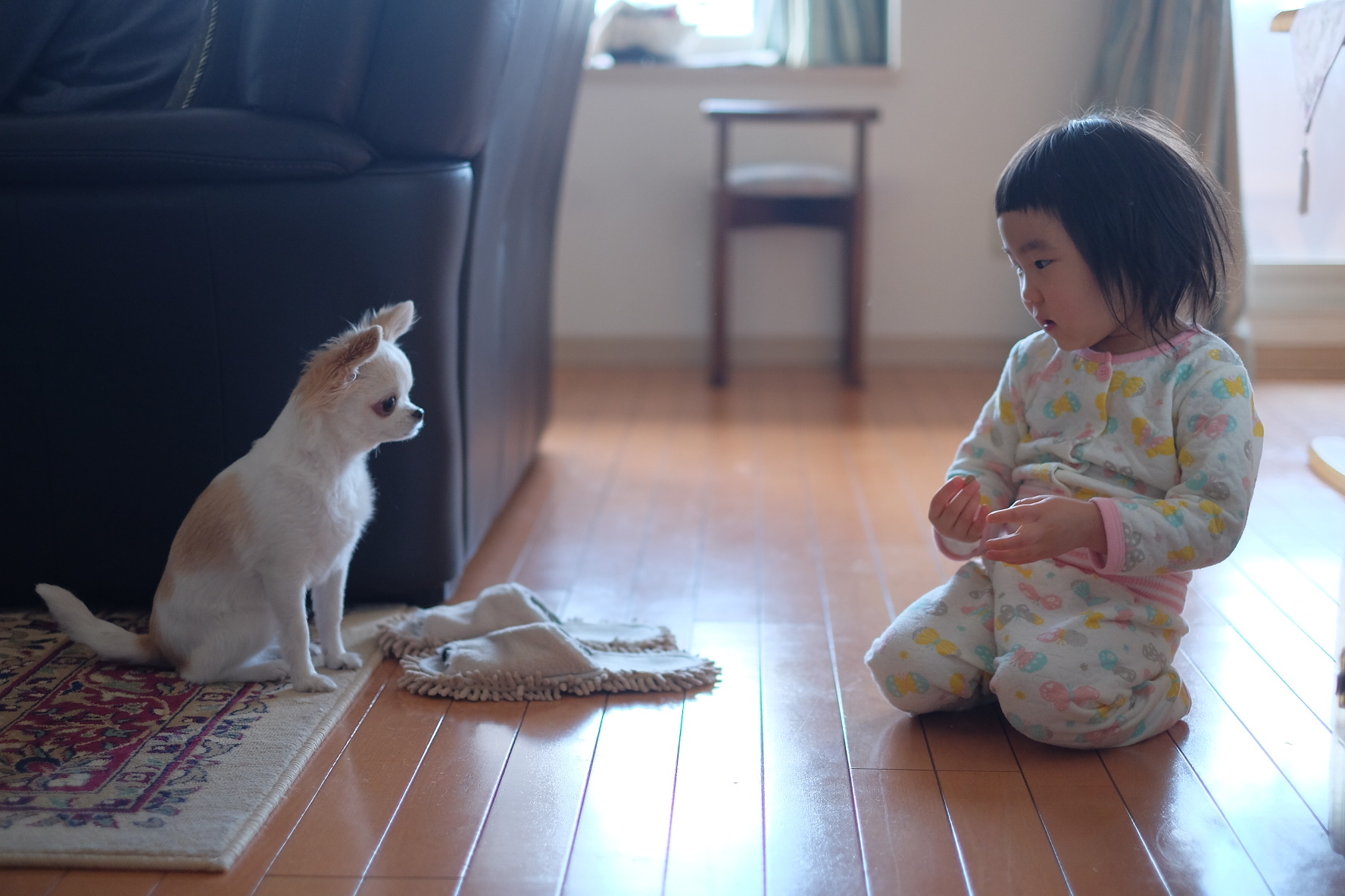 b0335371_23162205.jpeg