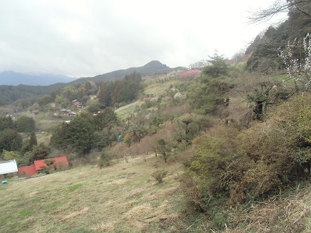 c0273271_1613929.jpg