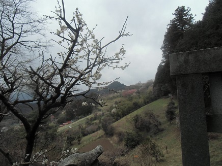 c0273271_1616182.jpg