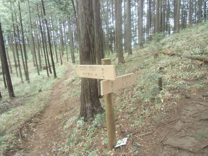 c0273271_16341774.jpg
