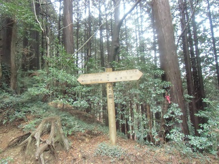 c0273271_16363451.jpg