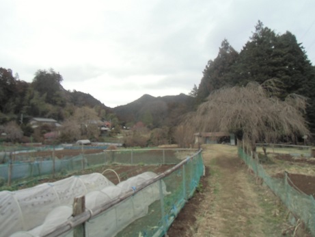 c0273271_16382938.jpg
