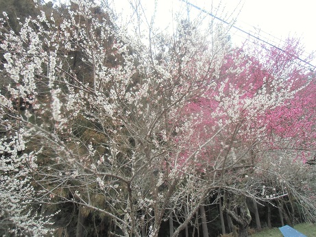 c0273271_16391668.jpg