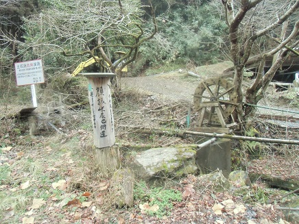 c0273271_1675630.jpg