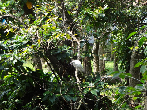 e0006772_1755897.jpg