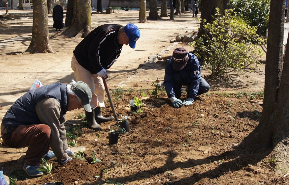 凡事徹底 ~福岡中央公園を愛し育てる会~_a0107574_19342606.jpg