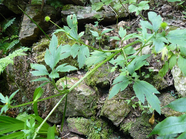d0019074_9545153.jpg