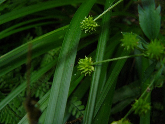 d0019074_9551125.jpg