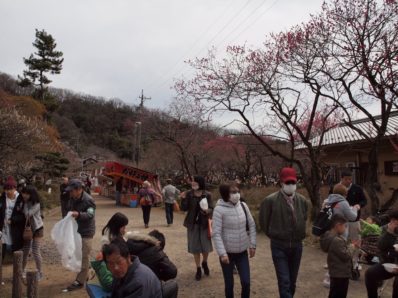 『岐阜梅まつりと瑞龍寺散策』_d0054276_1933219.jpg