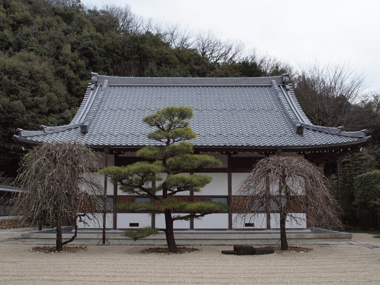 『岐阜梅まつりと瑞龍寺散策』_d0054276_19362327.jpg