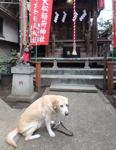 桜が咲くまであと十日_f0052277_1532260.jpg