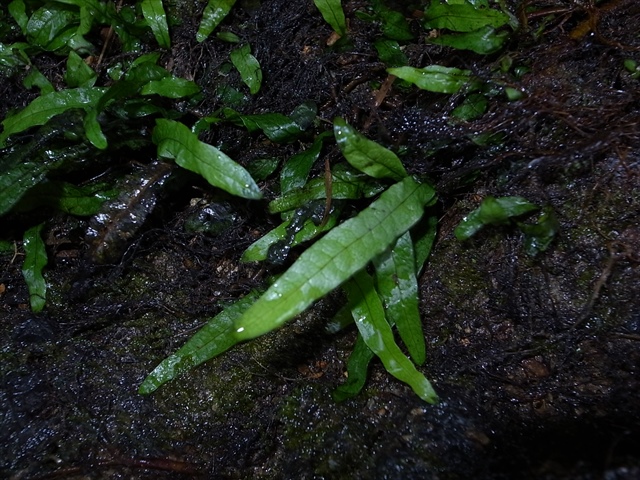 a0067578_6554010.jpg