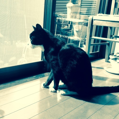 b0071781_15395043.jpeg