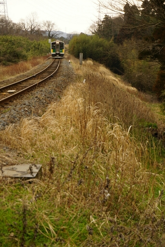 d0341483_21524353.jpg