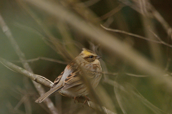 d0233887_195611.jpg
