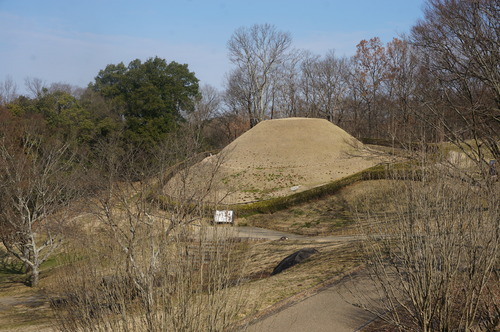 b0178388_16142382.jpg