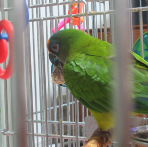 f0234590_10162118.png