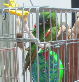 f0234590_1016262.png