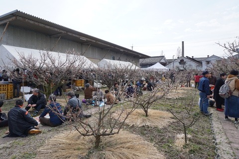 城陽酒造蔵開き祭2016_b0176192_1739454.jpg