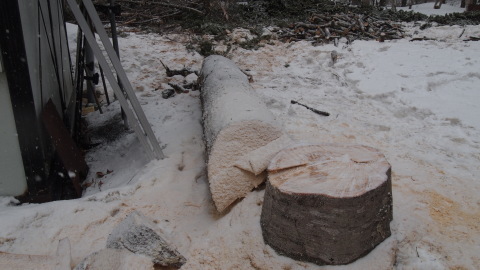 もすぐ春ですね~・・・でも、なごり雪_b0343293_22014148.jpg