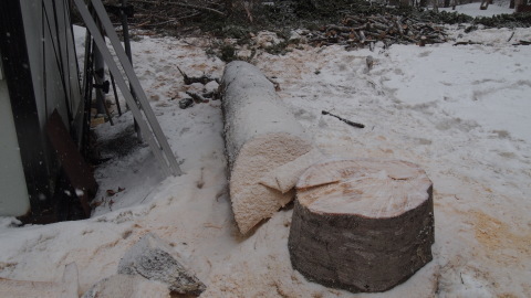 もすぐ春ですね～・・・でも、なごり雪_b0343293_22014148.jpg