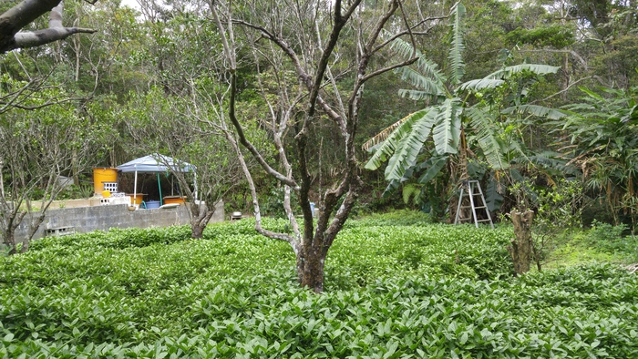 e0221697_2313987.jpg
