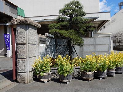 b0051598_21244840.jpg