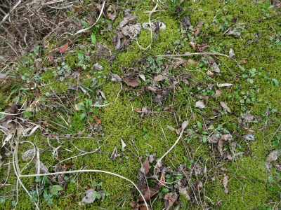 c0125501_16282221.jpg