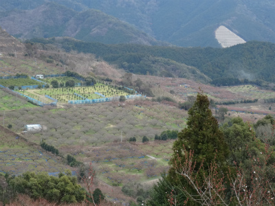 c0125501_16284561.jpg