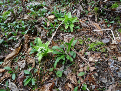 c0125501_1628698.jpg