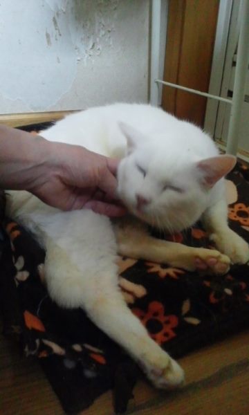 医療費のご協力をありがとうございました_f0242002_0325244.jpg
