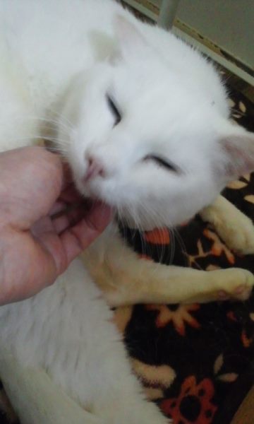 医療費のご協力をありがとうございました_f0242002_033285.jpg