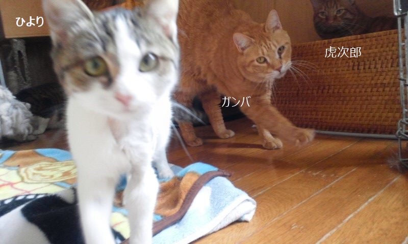 医療費のご協力をありがとうございました_f0242002_0501488.jpg