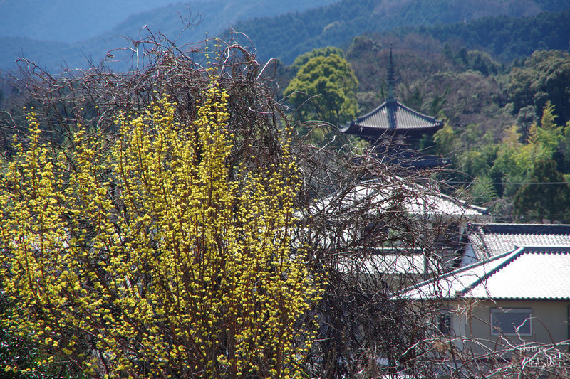 d0342307_22174836.jpg