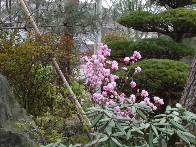 f0231709_22522919.jpg